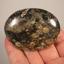 river stones for sale river stones for sale Acworth