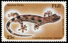 Usado, FIJI 556 - Lagartixa manchada "Lepidodactylus manni" (pb94854) comprar usado  Enviando para Brazil