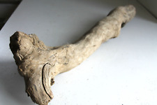 Schwemmholz treibholz skulptur gebraucht kaufen Schwemmholz treibholz skulptur gebraucht kaufen  Fronreute