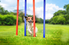 Agility set hunde gebraucht kaufen  Velen