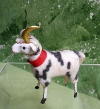 German spotted wooly for sale  Saint Peters