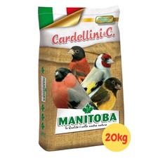 Manitoba miscuglio cardellino usato  Marano di Napoli