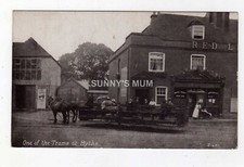 Kent hythe horse for sale  NORWICH