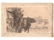 1903 cartolina primi usato  Italia