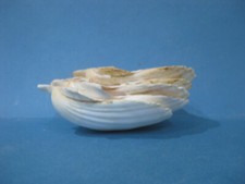 Clam shells pcs for sale  BEDFORD