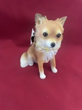 Long haired chihuahua for sale  San Jose