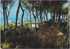 Cecina mare livorno usato  Italia