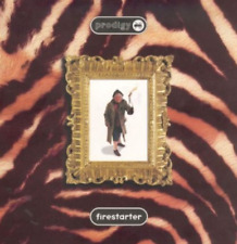 Prodigy firestarter maxi gebraucht kaufen  Berlin