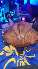 Vintage real armadillo for sale  Cadiz