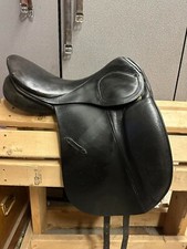 Stubben scandica dressage for sale  Felton