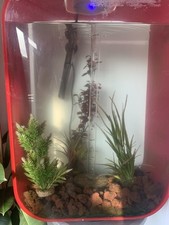 Biorb 60l fish for sale  PLYMOUTH