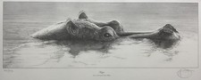 Gary hodges hippo for sale  CHESTER
