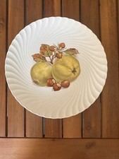 Vintage ironstone burgess for sale  Flat Rock
