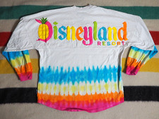 Disney disneyland resort for sale  Bellingham