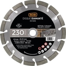 Disque diamanté pro d'occasion  Blangy-sur-Bresle