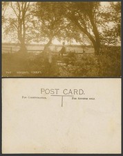 Cartão postal foto real antiga paisagem nacional Ashdown Forest, Sussex High Weald 787 comprar usado  Enviando para Brazil