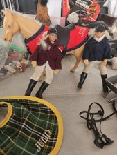 Julip horse 2 for sale  DONCASTER