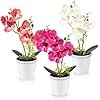Halbur orchidea finta usato  Italia