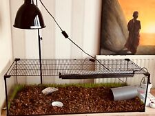 Terrarium 100x30x40 verre d'occasion  Bonneuil-sur-Marne