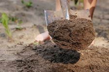 Mutterboden erdaushub verschen gebraucht kaufen  Worms