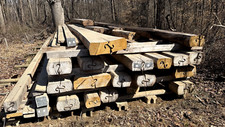 Yellow poplar timber for sale  Spencer