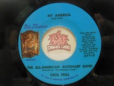 Rare american autoharp for sale  Chelsea