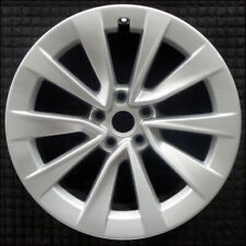 Tesla inch painted for sale  Elk Grove Village