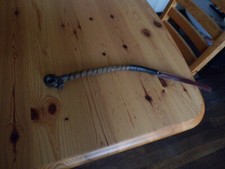 Nerf boeuf d'occasion  Sancoins