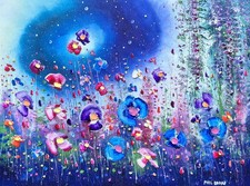 Midnight love flowers for sale  WOKING