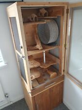 Chinchilla degu rat for sale  SUTTON
