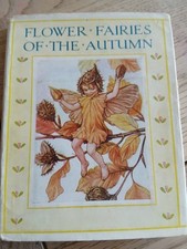 Flower fairies autumn for sale  WATERLOOVILLE