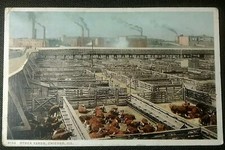 Chicago illinois stock for sale  Linden