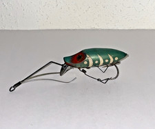 glow worm for sale glow worm for sale Sartell