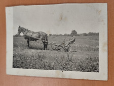 Foto landwirtschaft pferd gebraucht kaufen  Spraitbach
