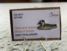 Rspb interest grey for sale  BEDFORD