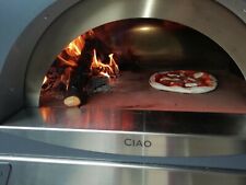 Forno legna alfa usato  Polla
