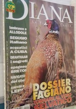 Diana 1999 lambrusco usato  Salerno