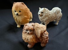 pomeranians puppies for sale pomeranians puppies for sale Pasadena
