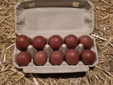 marans eier gebraucht kaufen marans eier gebraucht kaufen Herzberg