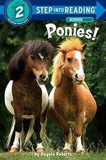 Ponies roberts angela for sale  Boston