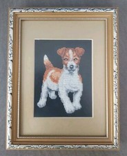 Jack russel terrier for sale  CHESHAM