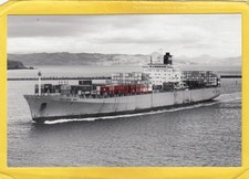 Palliser bay 1977 for sale  FELIXSTOWE