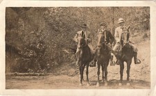 Smoking men horses for sale  Hayward