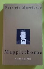 Mapplethorpe biography patrici for sale  WHITSTABLE