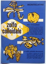 Volantino brochure pubblicitar usato  Gioia del Colle