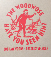 Billy childish woodwose for sale  NOTTINGHAM