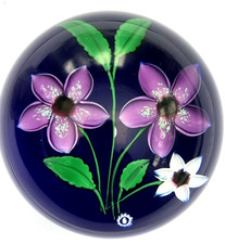 Caithness floral splendour for sale  UK