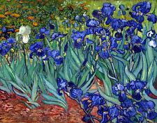Irises vincent van for sale  Amesbury