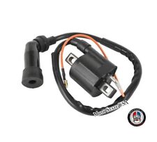 Performance ignition coil for sale  Wilmot