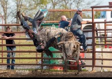 Rodeo chaps for sale  Caddo Mills